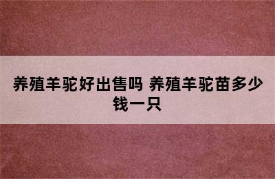 养殖羊驼好出售吗 养殖羊驼苗多少钱一只